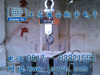 江蘇淮安翔宇電子吊秤廠家專注電子吊秤維修 吊鉤秤 電子吊秤校準