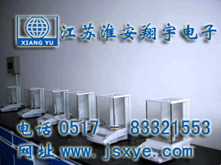 威特藥業(yè)采購(gòu)12臺(tái)江蘇淮安翔宇電子天平廠(chǎng)家高精度分析天平